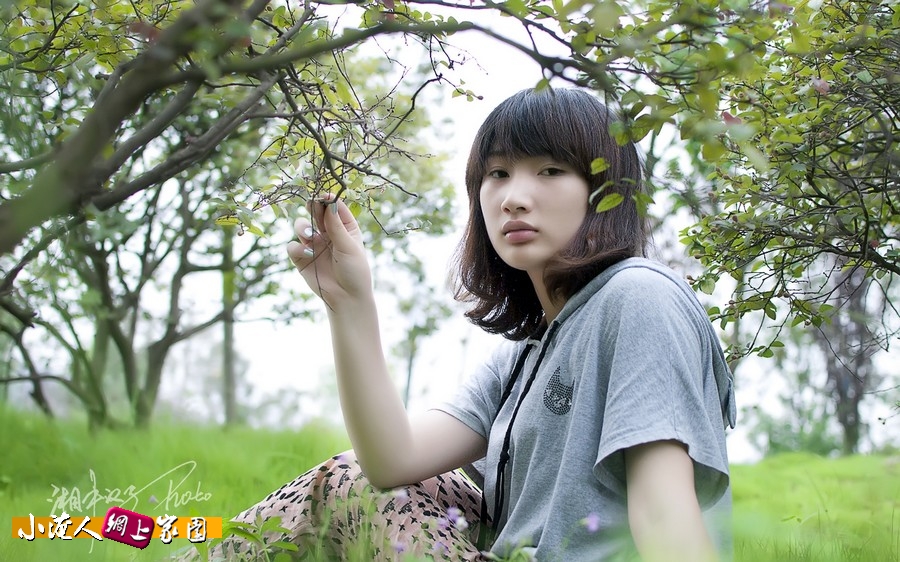 04.jpg